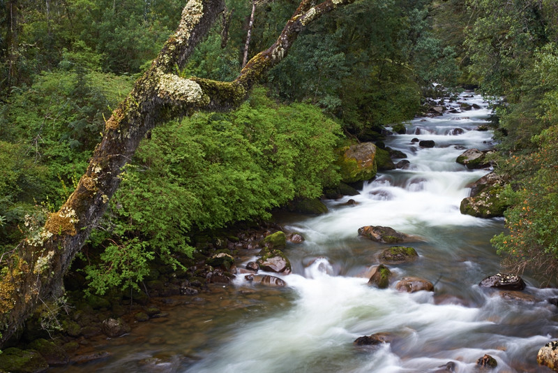 Rio Ventisquero - Carretera Austral - North