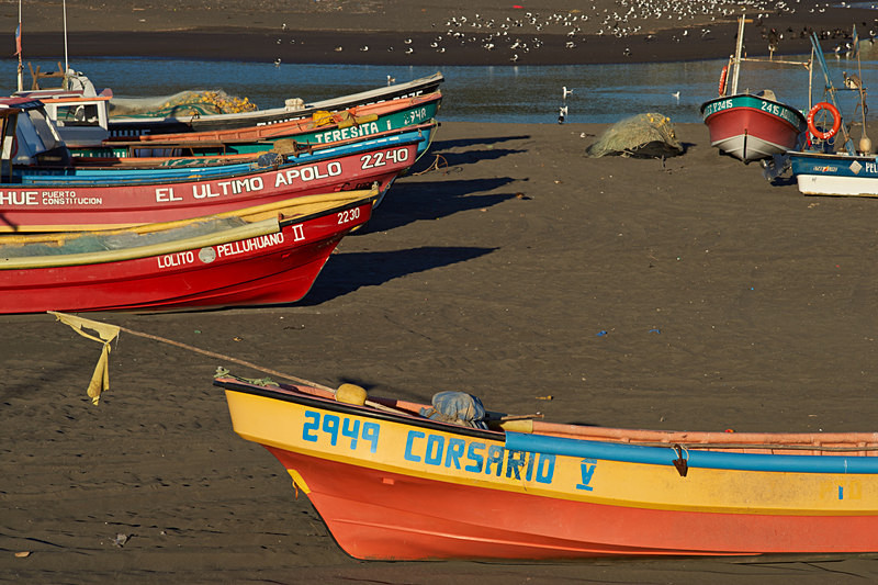 Fishing Boats - Coastal Chile