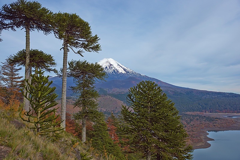 Conguillio National Park - Conguillio National Park