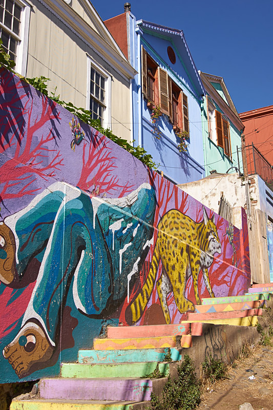 Colourful Street in Valparaiso - Coastal Chile