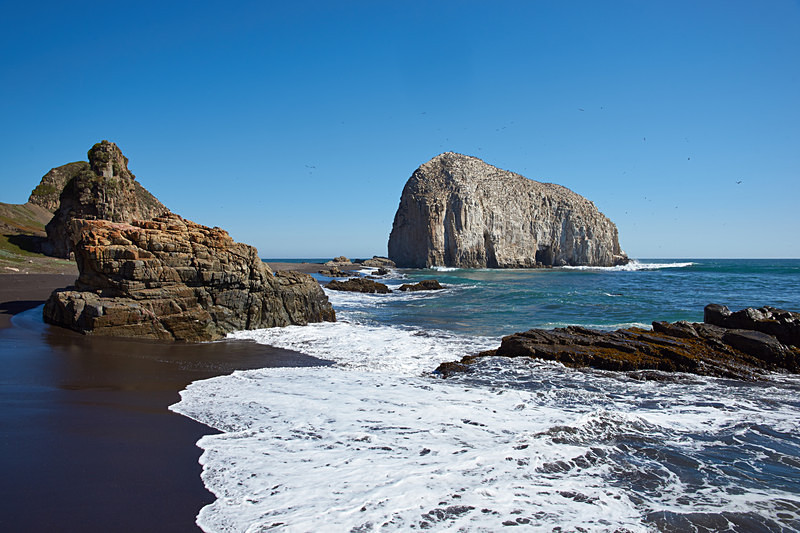 Seabird Colonies on the Coast of Chile - Coastal Chile