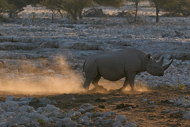  - Etosha National Park - September 2024