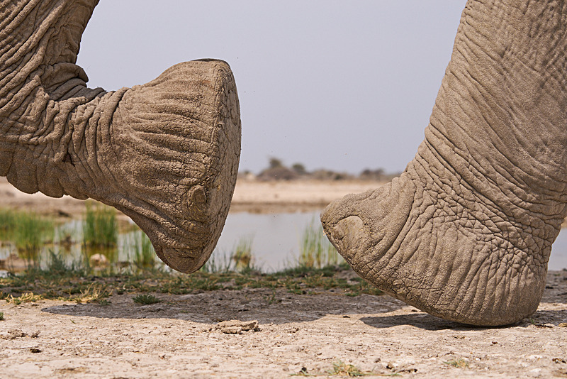  - Etosha National Park - September 2025