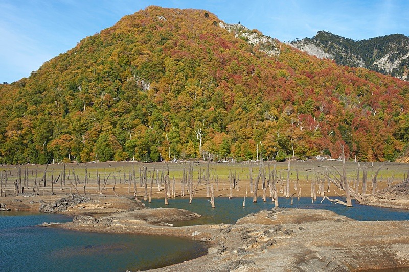 Laguna Verde - Conguillio National Park