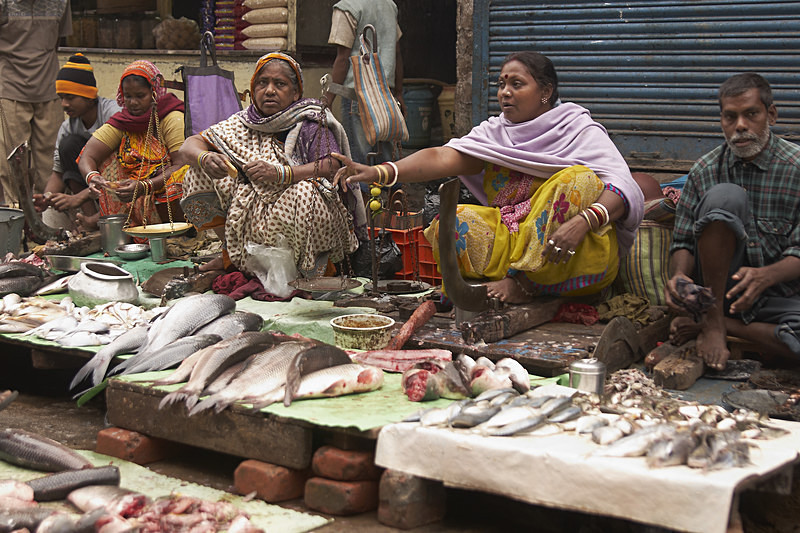 Calcutta Fish Market - India