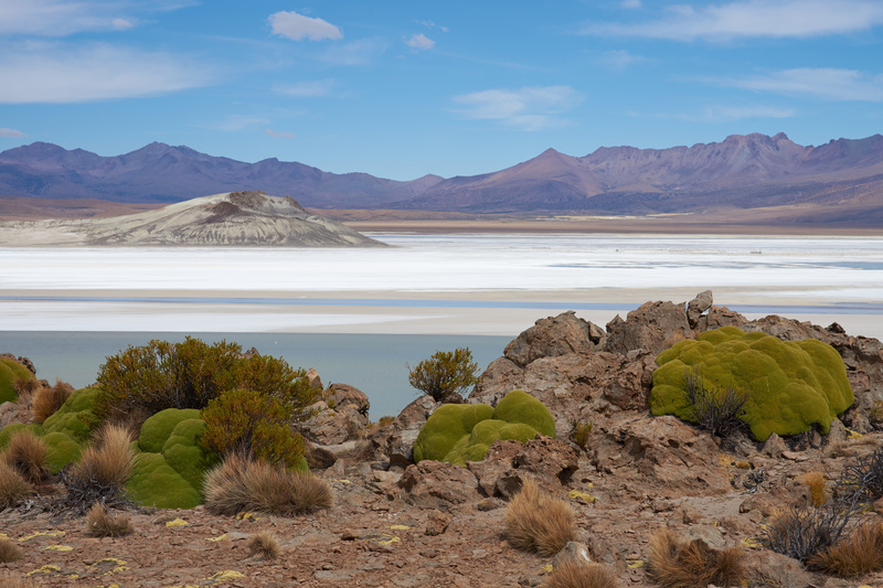 Salar de Surire - Altiplano of North-East Chile
