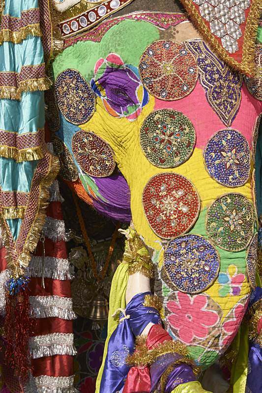 Decorated Elephant - India