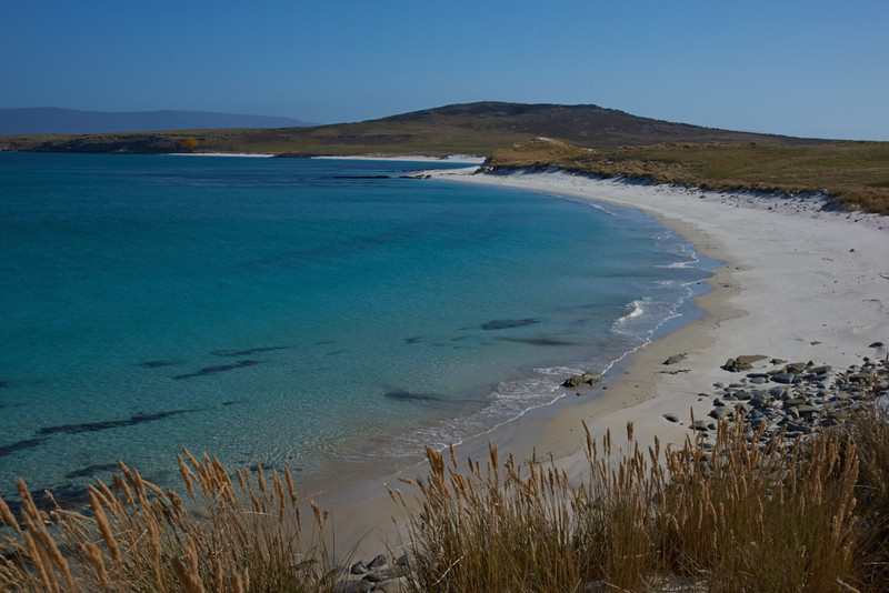 Leopard Beach - Carcass Island