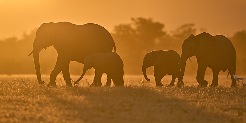  - Lower Zambezi National Park - May 2026