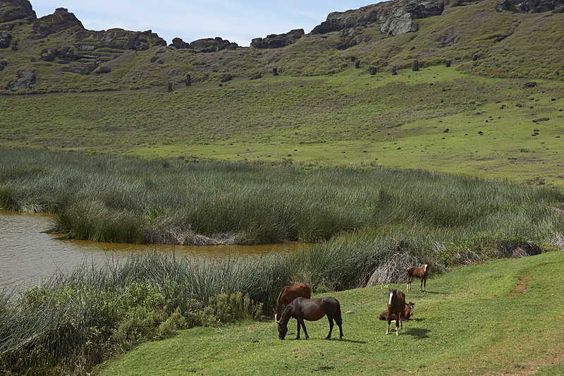 Rano Raraku - Easter Island (Isla de Pascua)