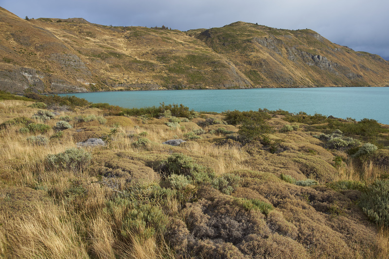 Rio Paine - Torres del Paine National Park