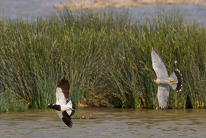  - Etosha National Park - September 2025