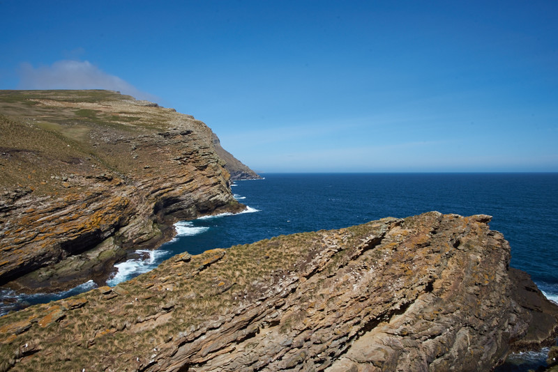 Albatross Rookery - West Point Island