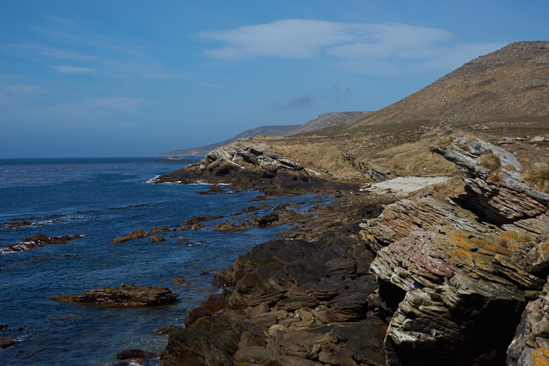 Northern Coast - Carcass Island