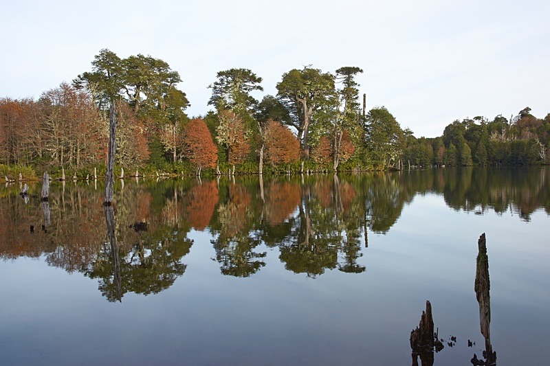 Laguna Captren - Conguillio National Park