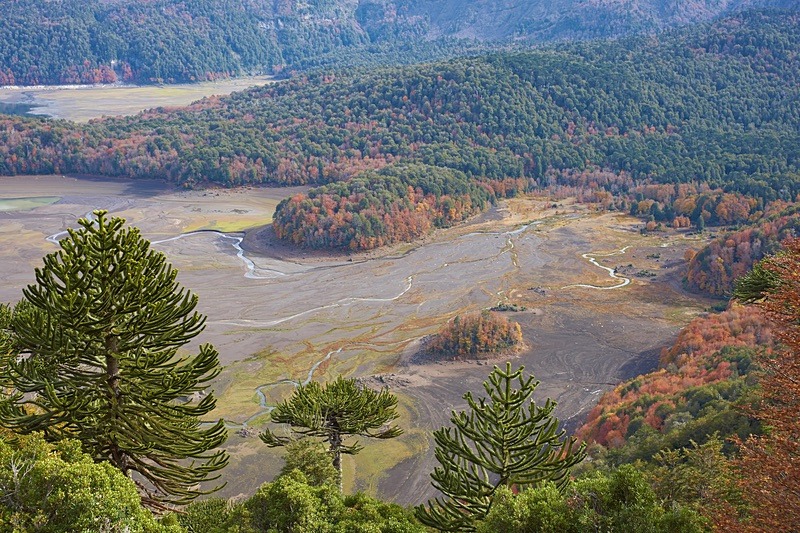 Lago Conguillio - Conguillio National Park