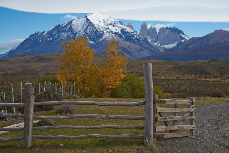 Autumn Colour in Torres del Paine National Park - Torres del Paine National Park
