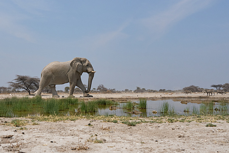 - Etosha National Park - September 2025