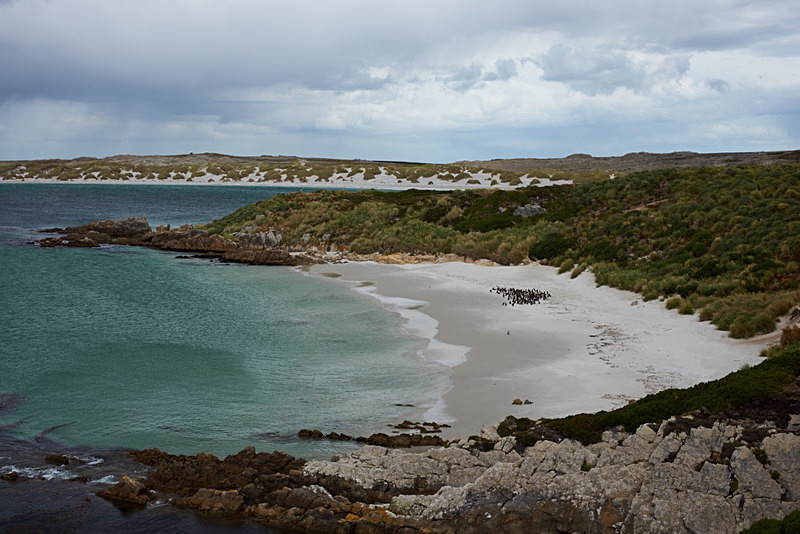Gypsy Cove - Stanley - The Capital