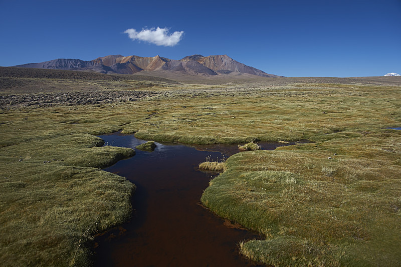 Altiplano - Altiplano of North-East Chile