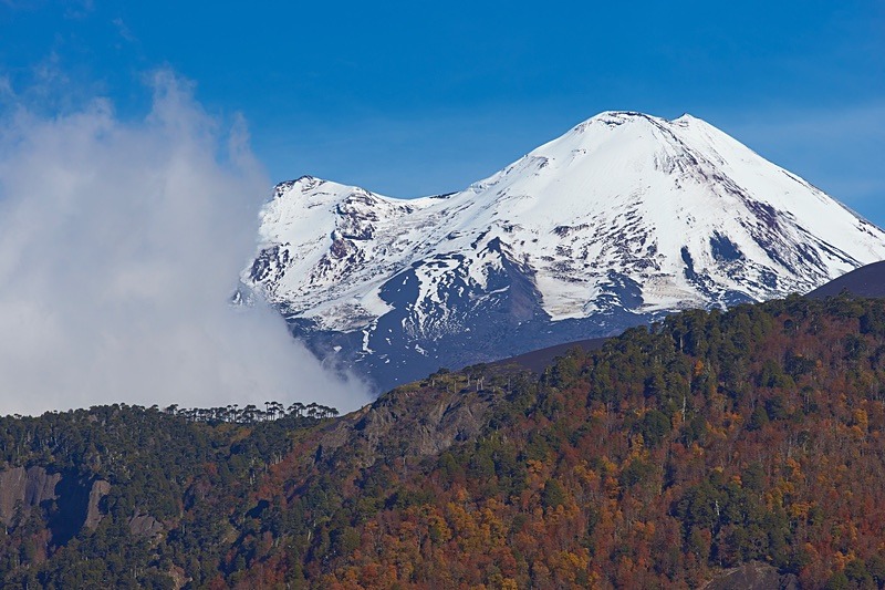 Volcano Llaima - Conguillio National Park
