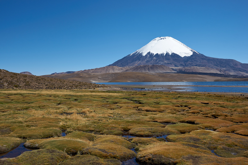 Parinacota Volcano - Altiplano of North-East Chile
