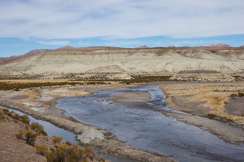 River Lauca - Altiplano of North-East Chile