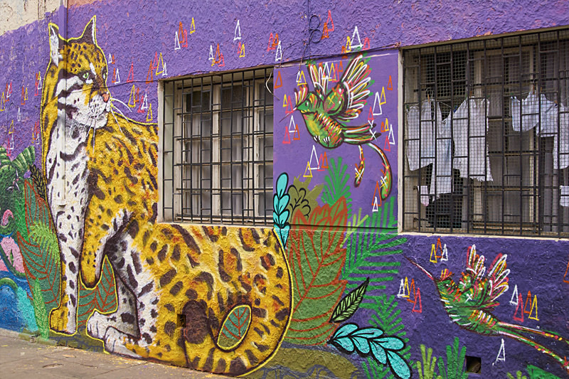  - Urban Art of Valparaiso