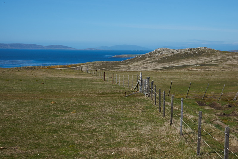 Sheep Fields - West Point Island