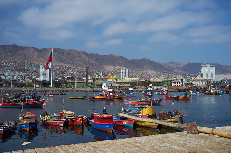 Fishing Harbour - Coastal Chile