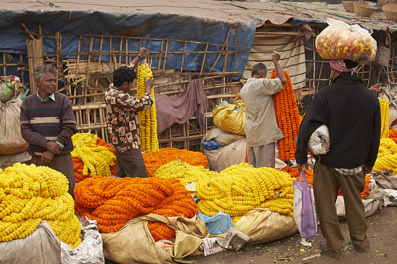 Flower Market - India