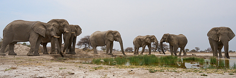 - Etosha National Park - September 2025