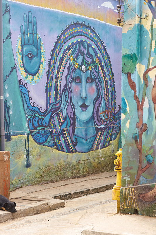  - Urban Art of Valparaiso