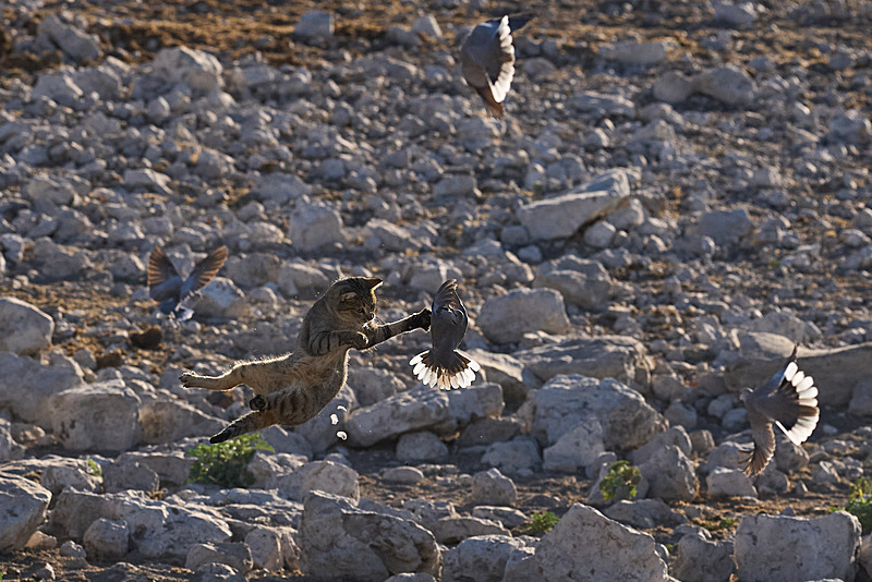  - Etosha National Park - September 2024