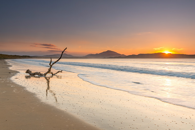 Tramore Driftwood - Co. Donegal