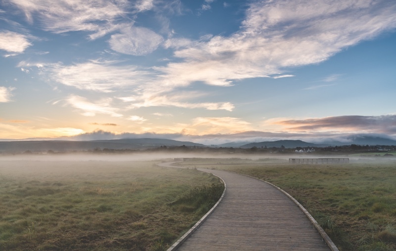 Throughs The Mist - Donegal Boardwalk - Co. Donegal