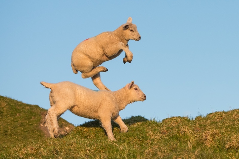 Life is A Balancing Act - Co. Donegal
