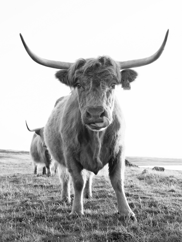The Highlands of Fanad - Black & White
