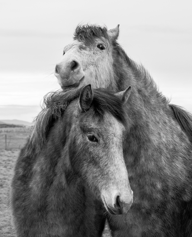 Lean On Me - Black & White