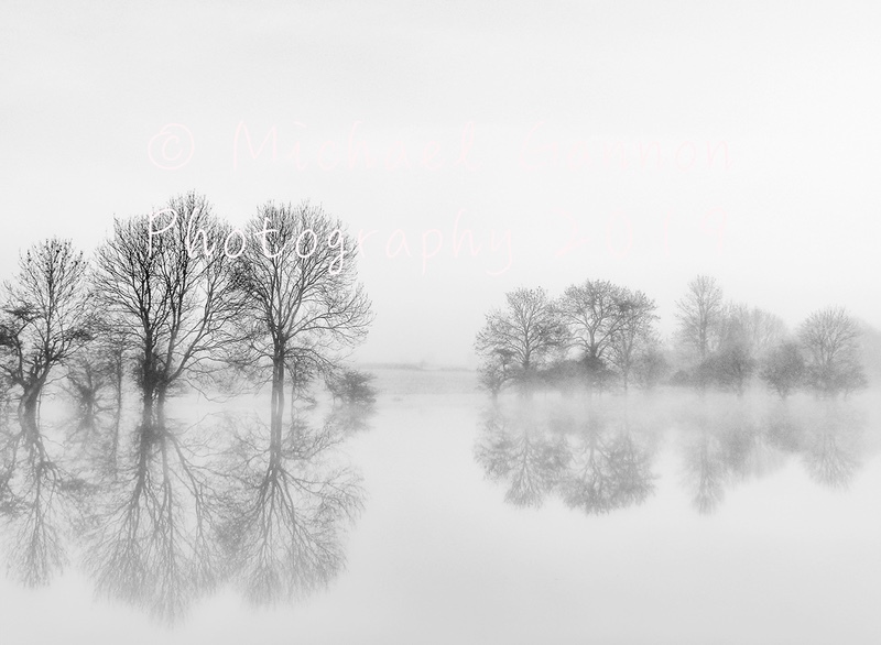 Reflection in a Turlough - Landscape Images ...2019