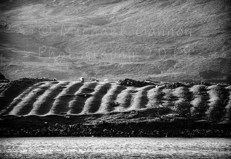 Lazybeds - Landscape Images ...2019