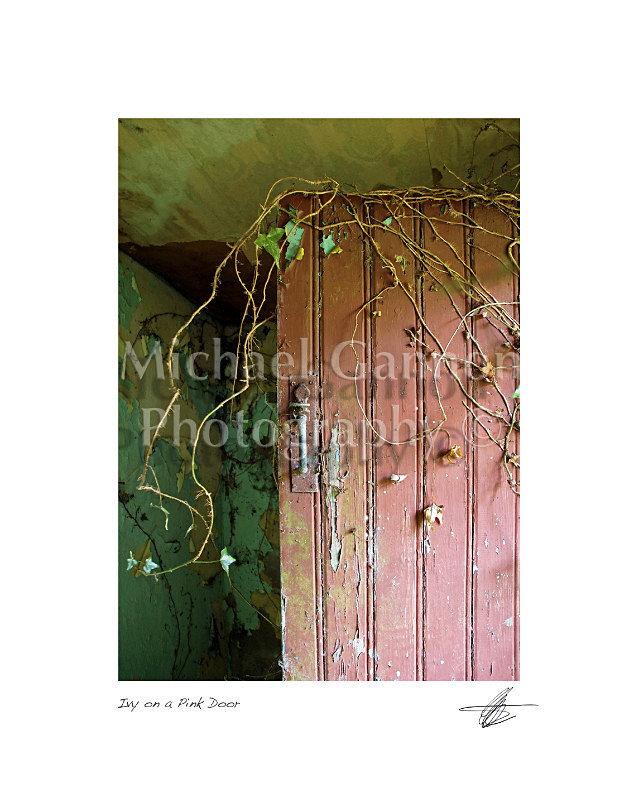 Pink Door - Derelict Ireland
