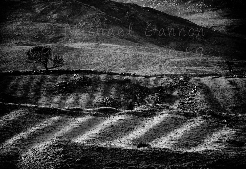 Lazybeds 2 - Landscape Images ...2019