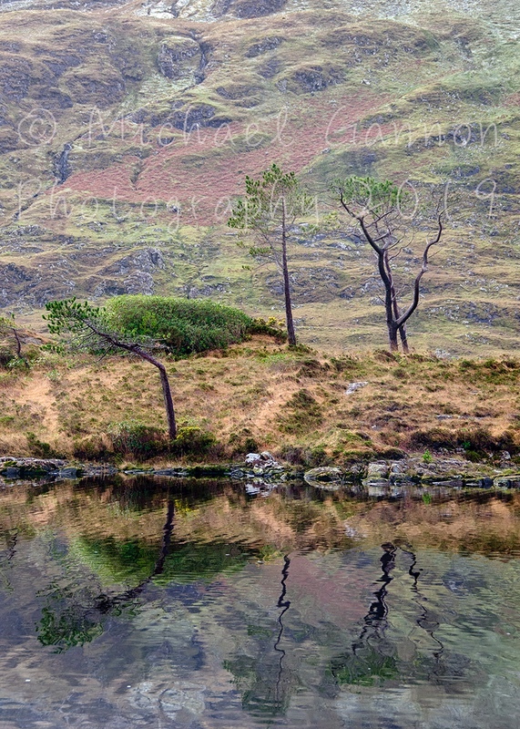 Reflection in Lough Fee - Landscape Images ...2019