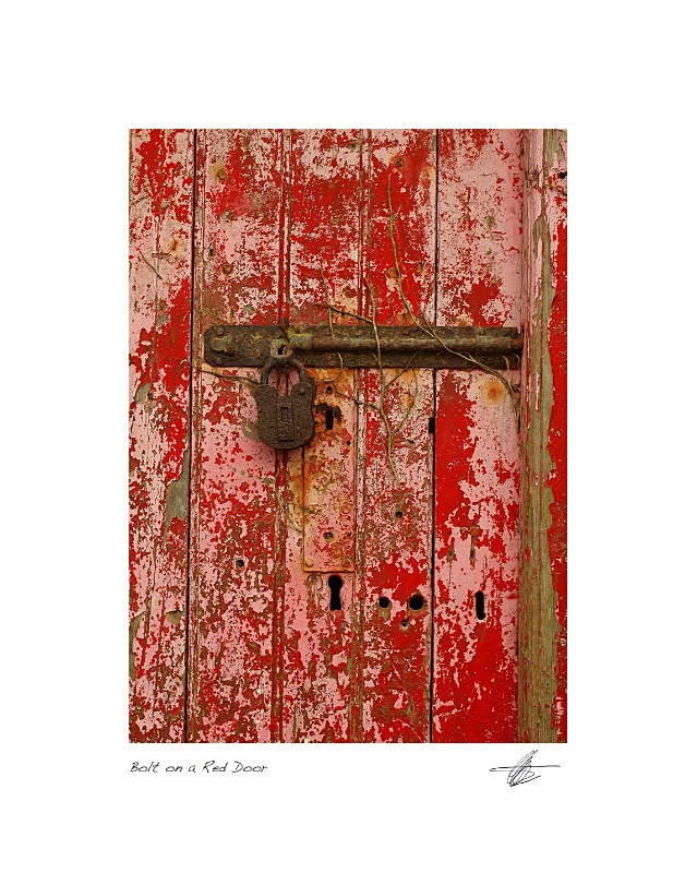 Red Door - Derelict Ireland