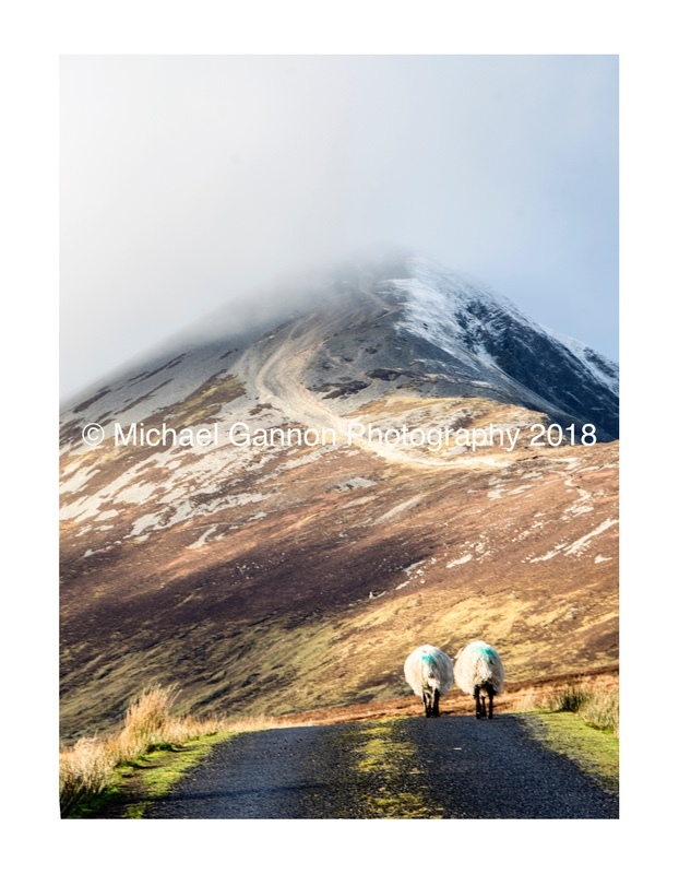 Taoibhnacroiche - Landscape Images ... 2018