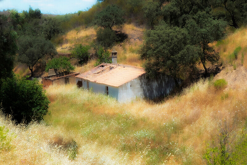 Abandoned hut - Recent Work