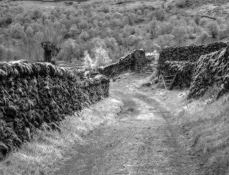 Lake District Lane - Monochrome
