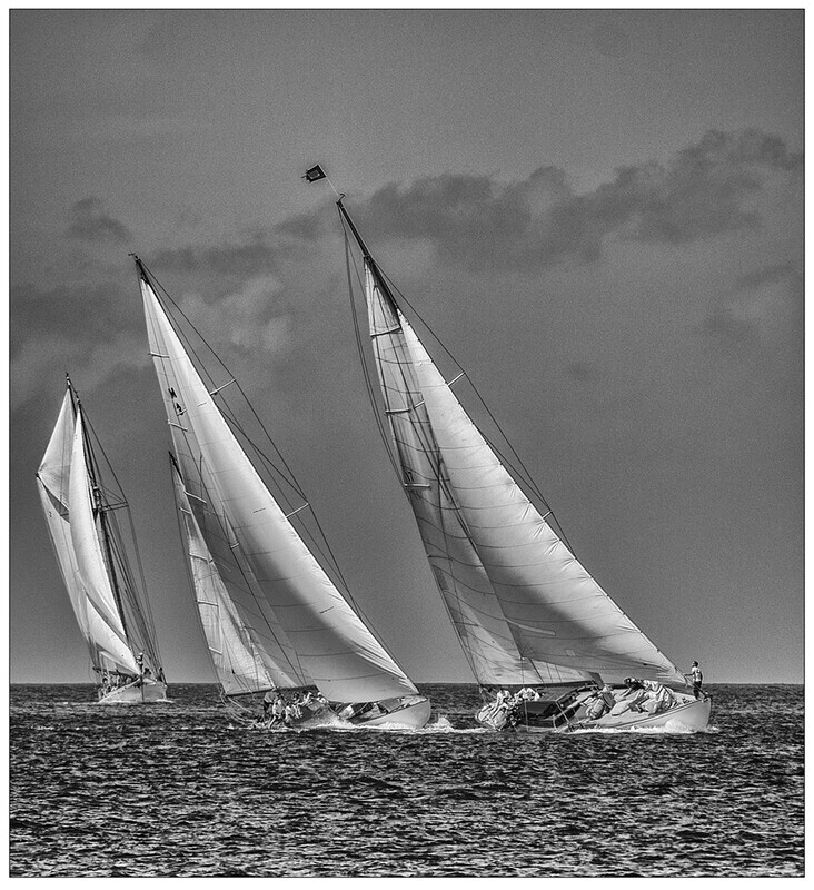 A fight to the finish - Recent Work