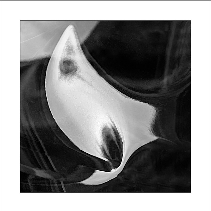 02 - A.R.P.S. images